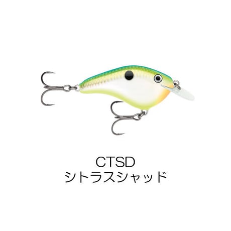 OGS6　OG SLIM 6（オットズガレージ　スリム6）