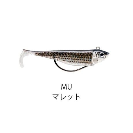 BSCS09　360°GT COASTAL BISCAY SHAD（コースタルビスケイシャッド）