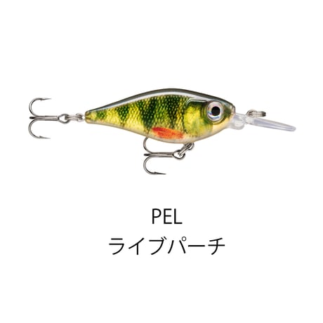 FNS4　X-LIGHT SHAD（エックスライト シャッド）