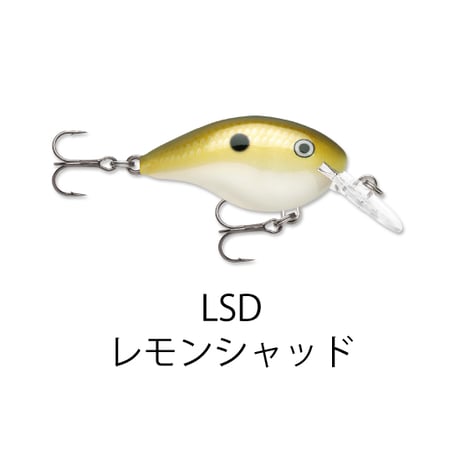 DT4　DT（ダイブス トゥ）