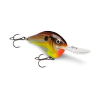 DT14　DT（ダイブス トゥ）