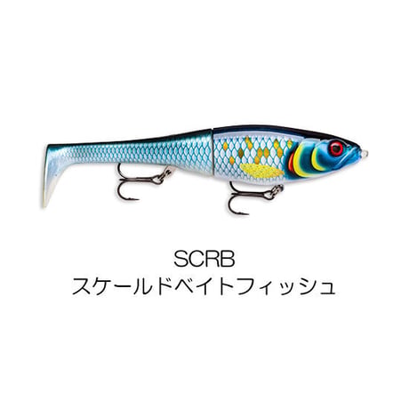 XRPT　X-RAP PETO（エックスラップピート）