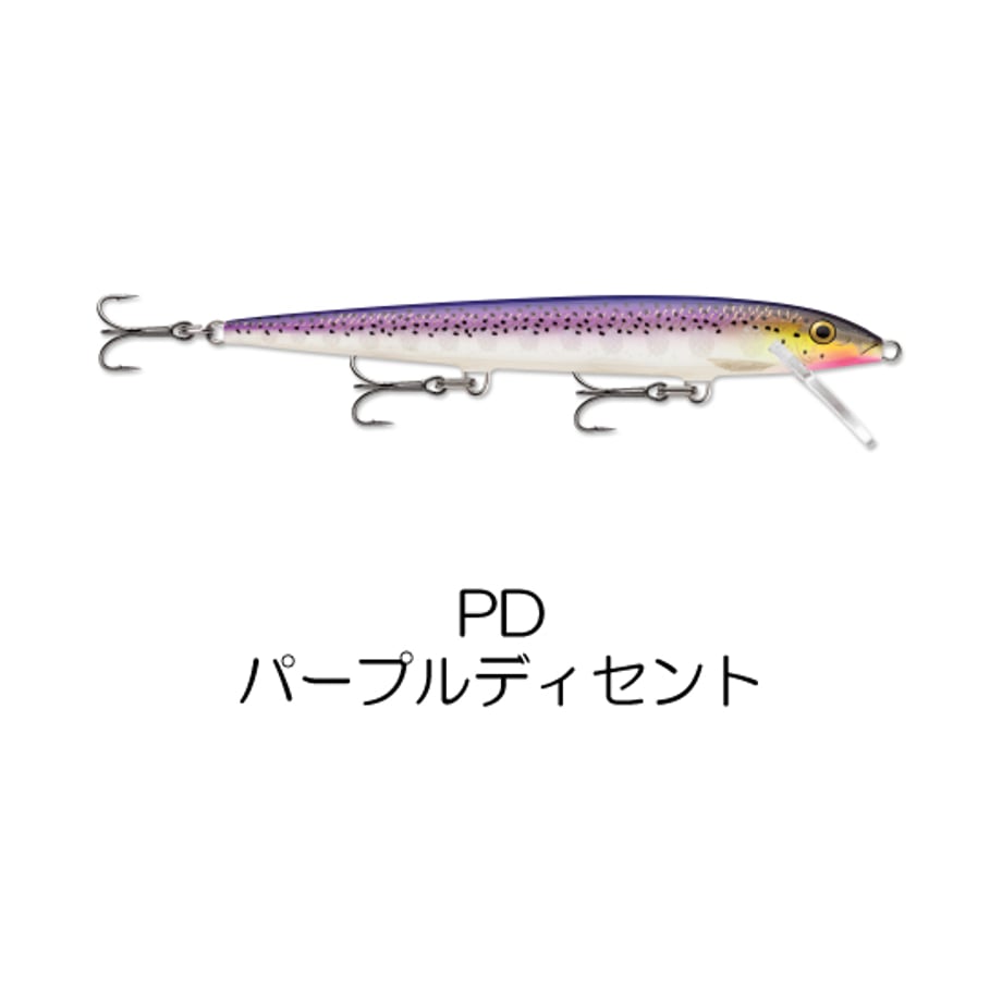 65c32e491896a1007ce20a74