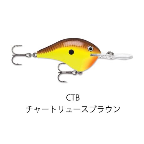 DT10　DT（ダイブス トゥ）