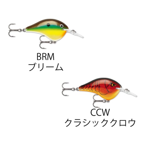 DT6　DT（ダイブス トゥ）