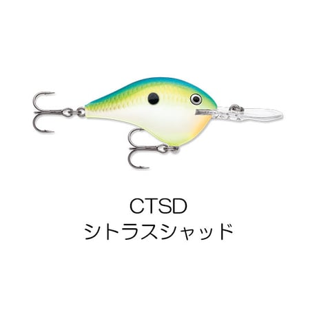 DT12　DT（ダイブス トゥ）