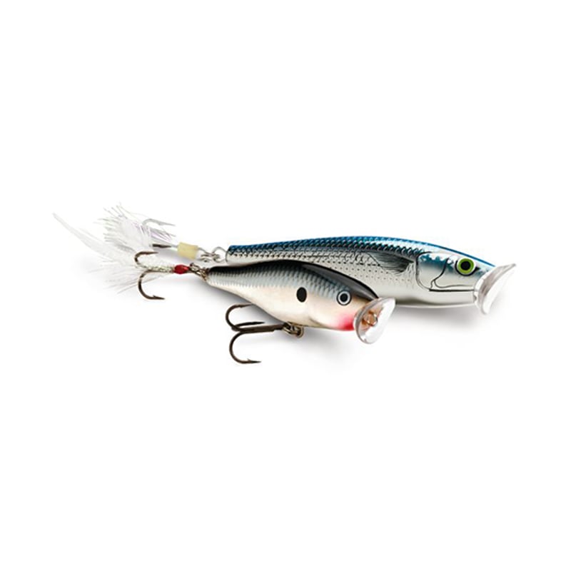 SP5 SKITTER POP （スキッターポップ） | Rapala-e-shop