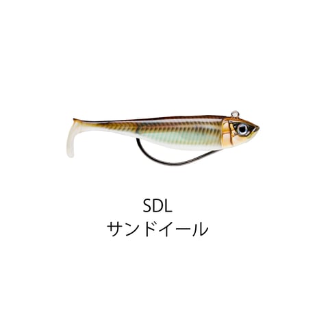 BSCS09　360°GT COASTAL BISCAY SHAD（コースタルビスケイシャッド）