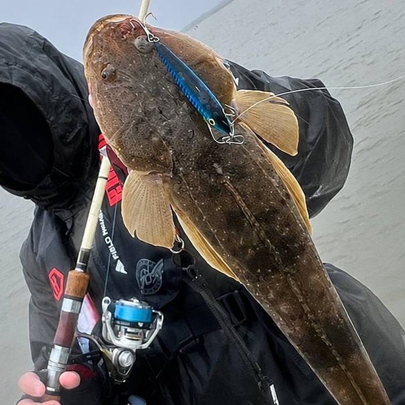 RCDS902MHF ラパラクラシックカウントダウン | Rapala-e-shop