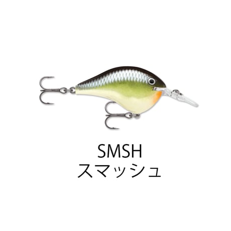 DT4　DT（ダイブス トゥ）