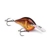 DT6　DT（ダイブス トゥ）