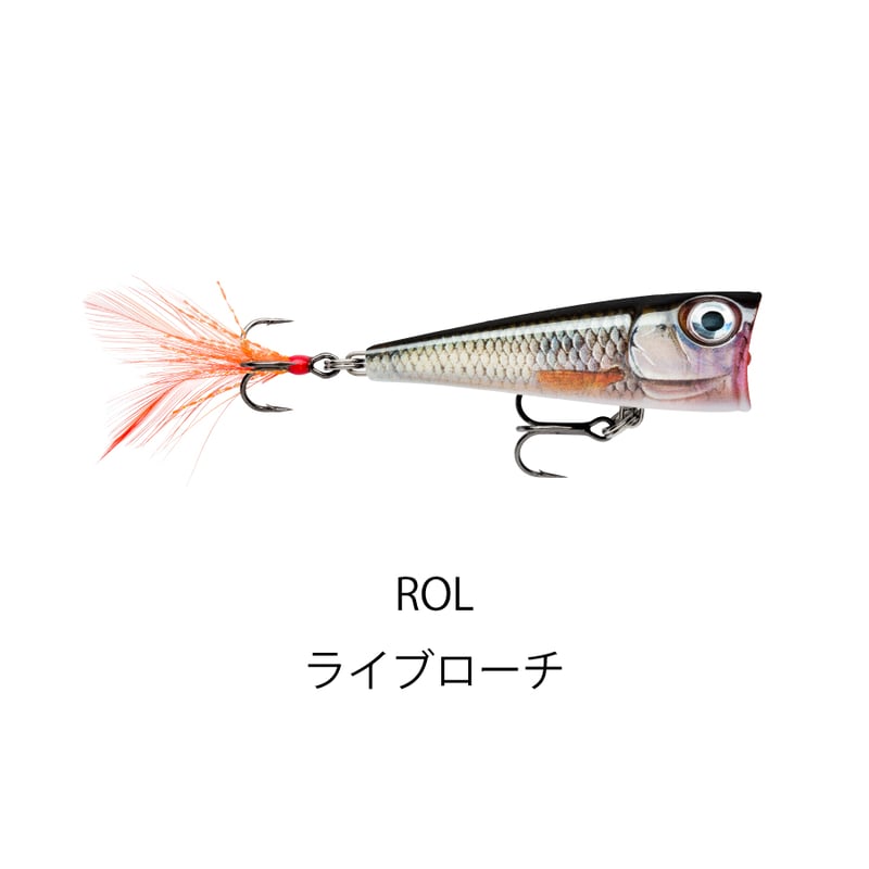 FNP4 X-LIGHT POP（エックスライト ポップ） | Rapala-e-shop