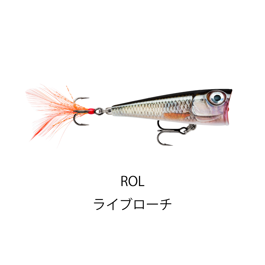 FNP4 X-LIGHT POP（エックスライト ポップ） | Rapala-e-shop