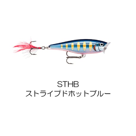 SP5　SKITTER POP （スキッターポップ）