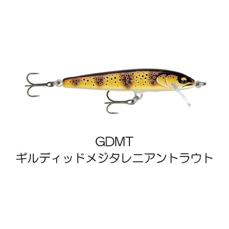 FE85　FLOATER ELITE（フローター エリート）