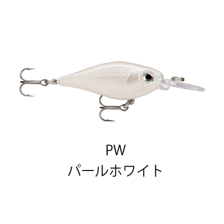 FNS4　X-LIGHT SHAD（エックスライト シャッド）