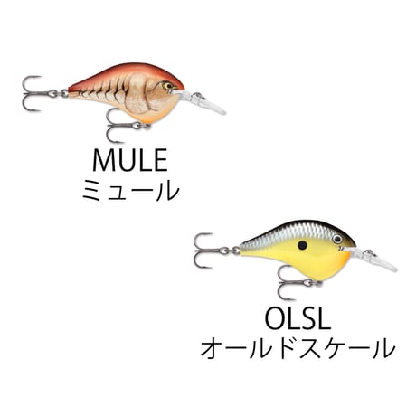 DT6　DT（ダイブス トゥ）