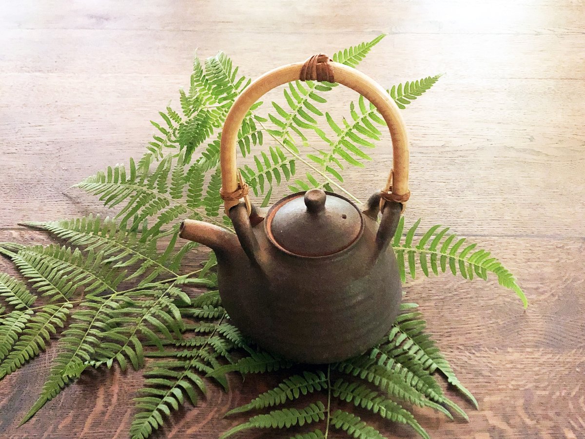 伊賀焼 長谷園の耐熱土瓶〈新品〉 | 器屋 HAKOBE