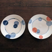 九谷焼 九谷青窯 菊紋8寸皿〈新品〉