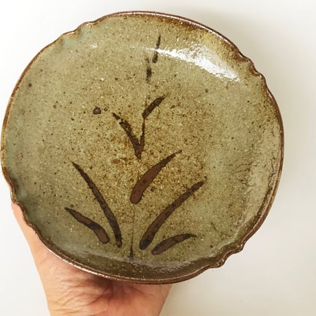 陶塾 絵唐津手 6寸皿〈新品〉