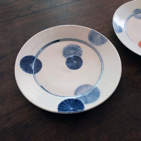 九谷焼 九谷青窯 菊紋8寸皿〈新品〉