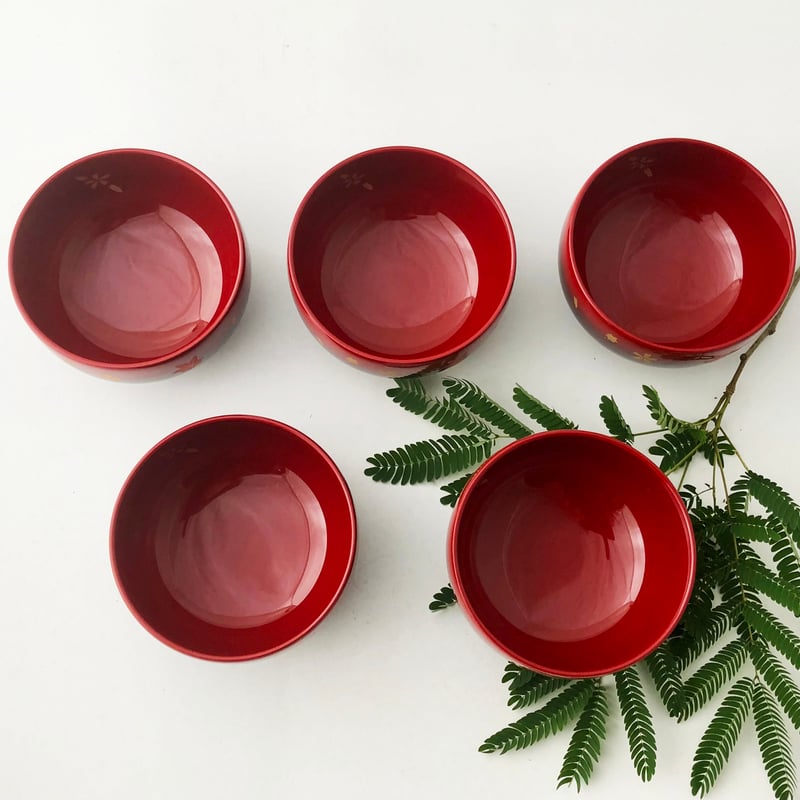 越前塗 ぼかし 春秋汁椀 5セット〈新古品〉 | 器屋 HAKOBE