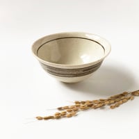 伊賀焼 長谷園 コマスジ 飯碗 〈新品〉