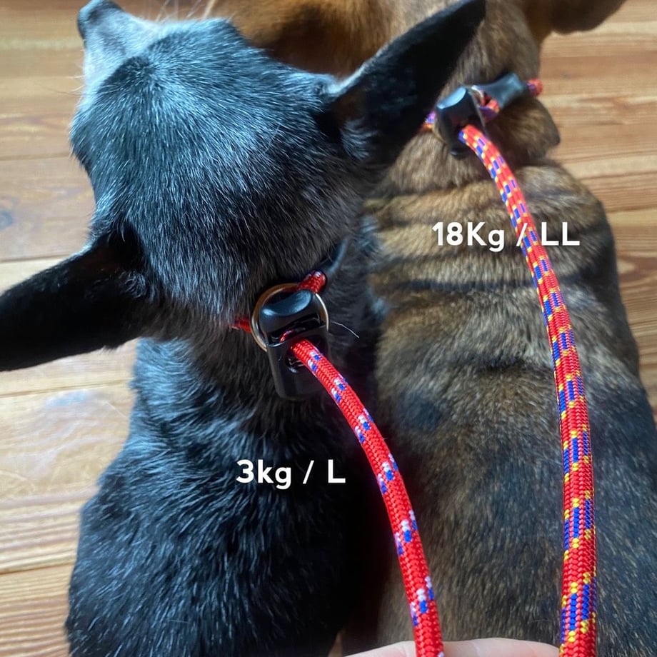 598a9bdcb1b6195f270008ff