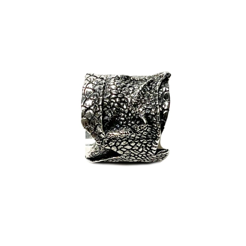 SHARE SPIRIT・Silver Snake Ring・size.19 | MEGA