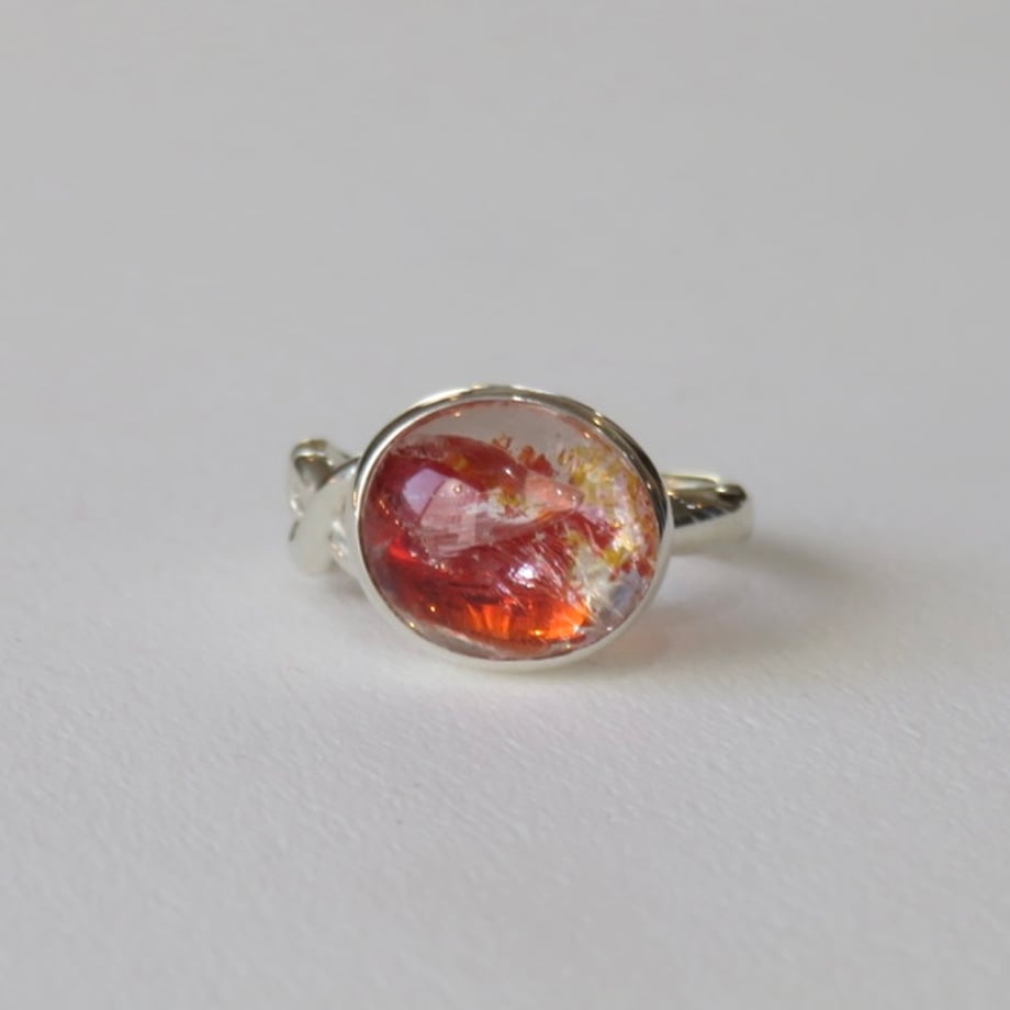 69ef3198ff407e0e5dbeab9c