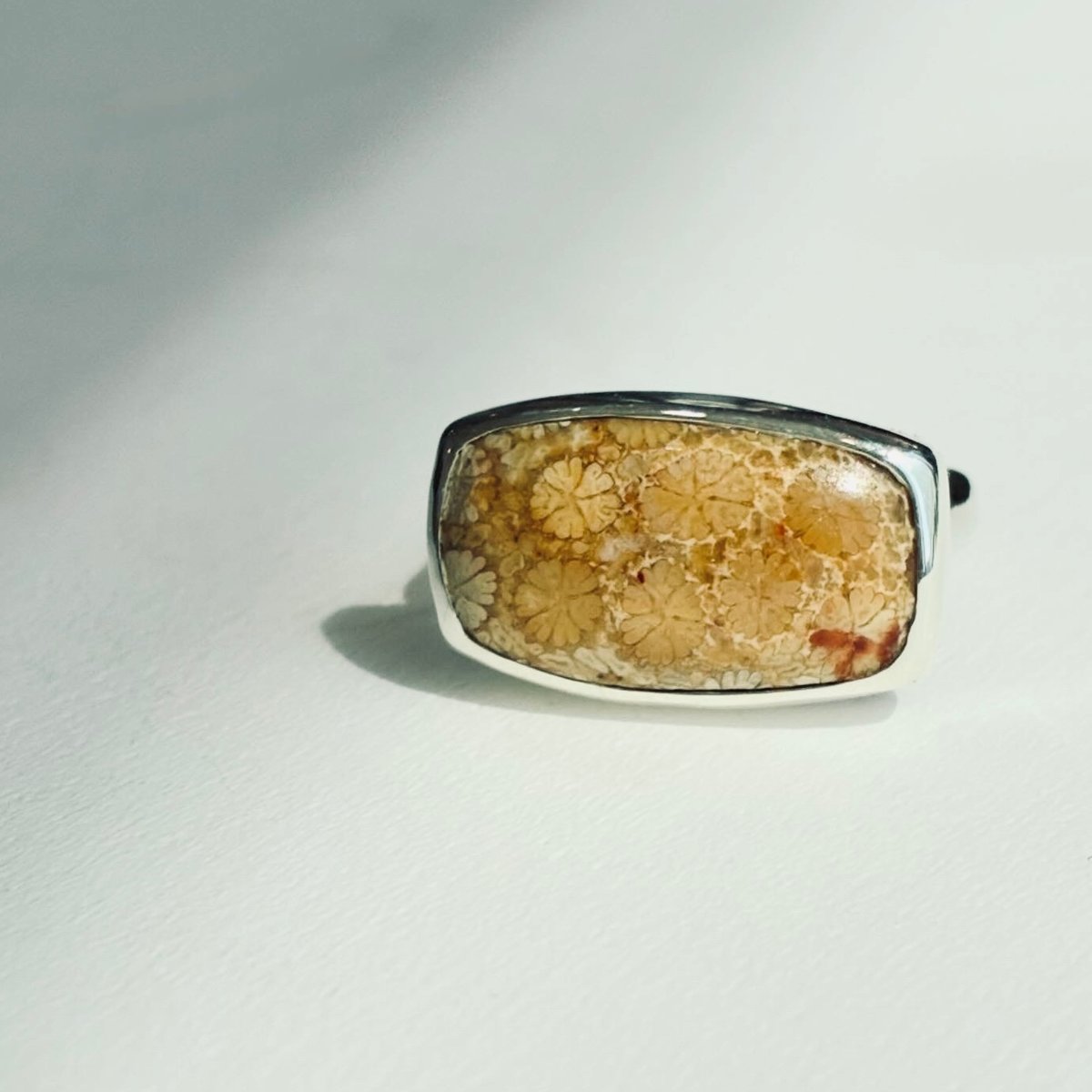 フォッシル コーラル 天然カラー ポイント フォシルコーラル ダブルポイント ペンダントトップ32×8×8mm ゴールド
