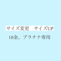 サイズ変更　サイズアップ