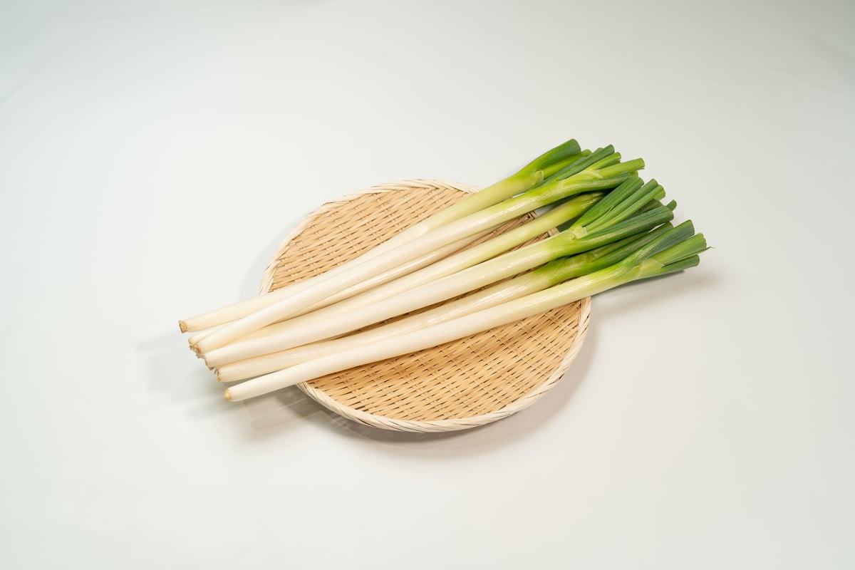 ねぎちょろ fit=scale-down,w=1200