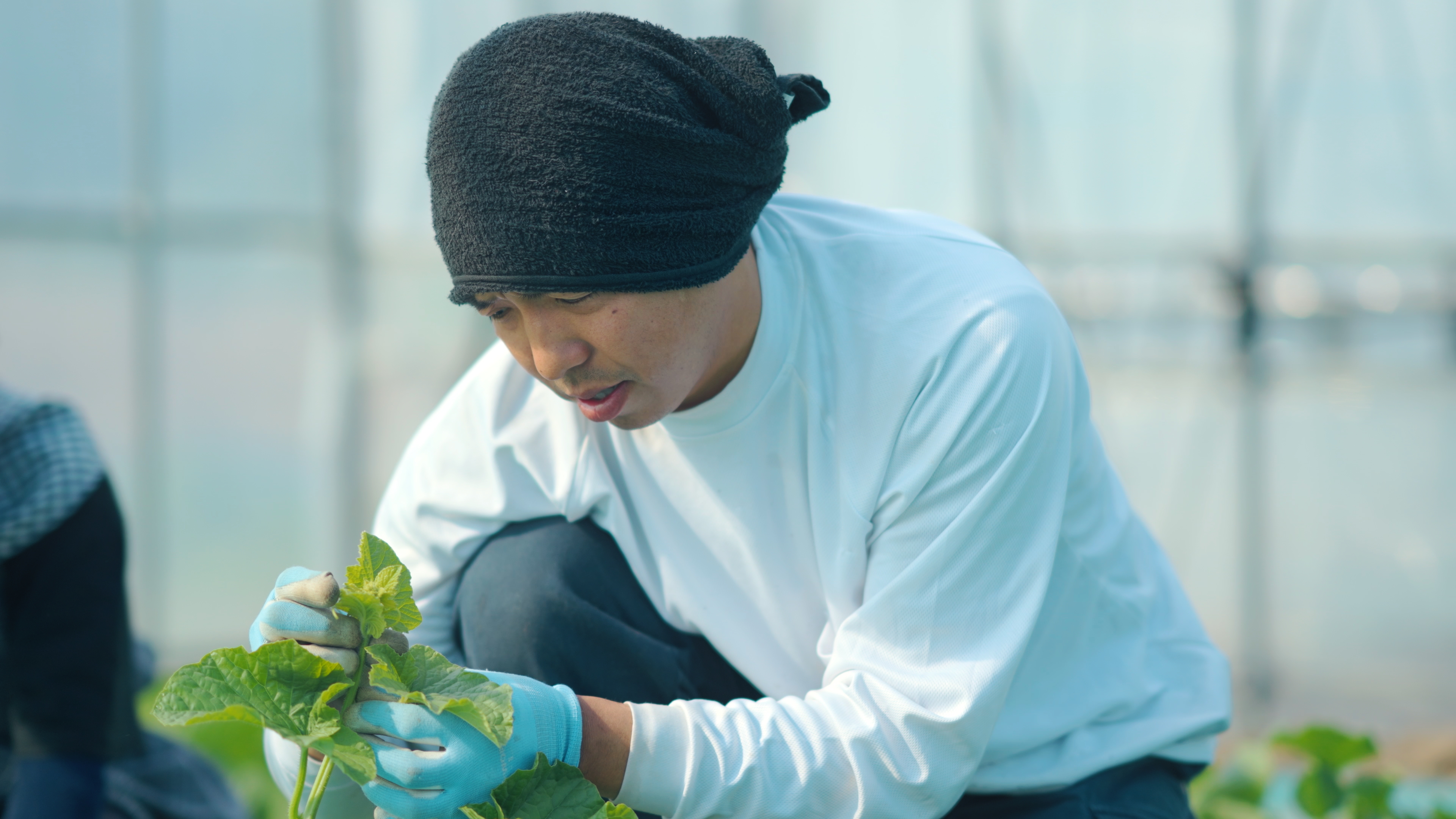 予約受付！《糖度センサー認証》情熱メロン【赤肉メロン2玉入り】新潟