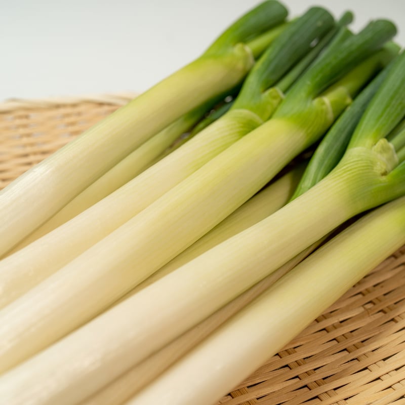夏のはくちょうねぎ（30本入り） | 太田農園/農業生産法人 melON株式会社