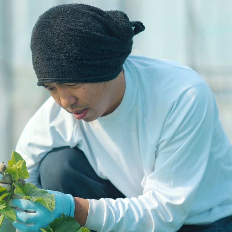 予約受付！！《糖度センサー認証》情熱メロン赤青2玉セット【赤肉1玉