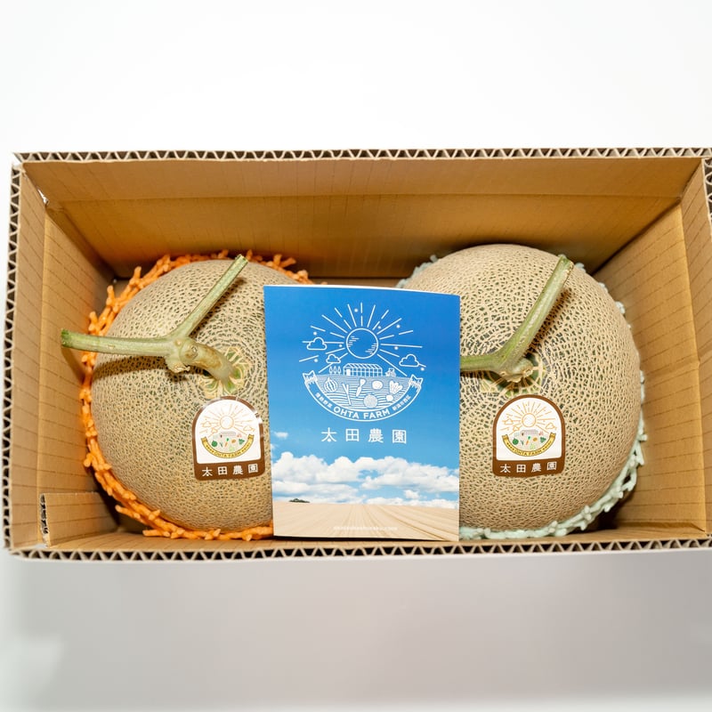 予約受付！！《糖度センサー認証》情熱メロン赤青2玉セット【赤肉1玉