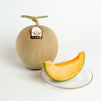 予約受付！《糖度センサー認証》情熱メロン【青肉2玉入り】 | 太田農園