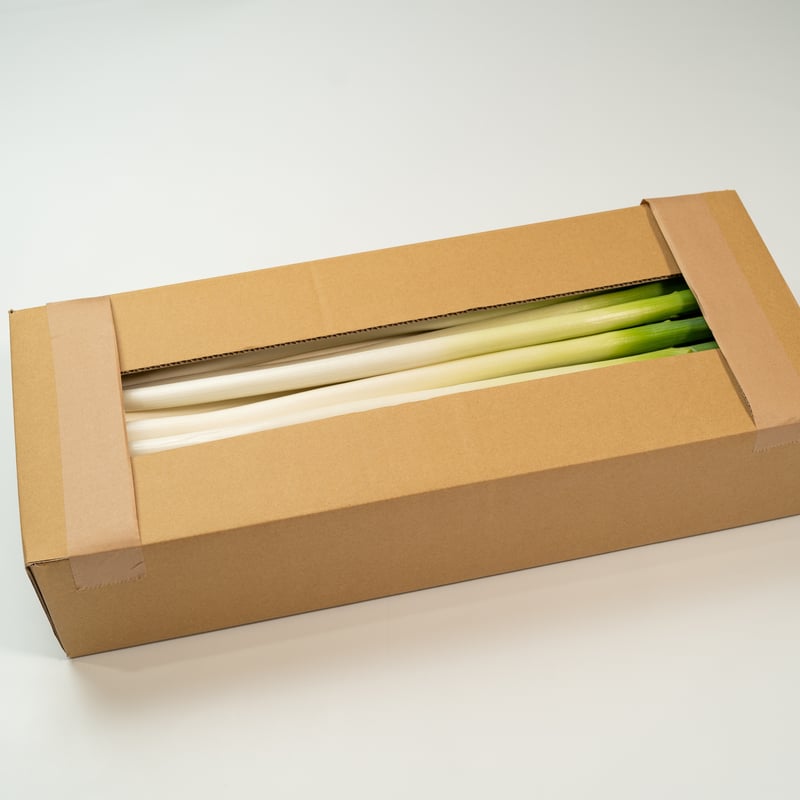 夏のはくちょうねぎ（30本入り） | 太田農園/農業生産法人 melON株式会社