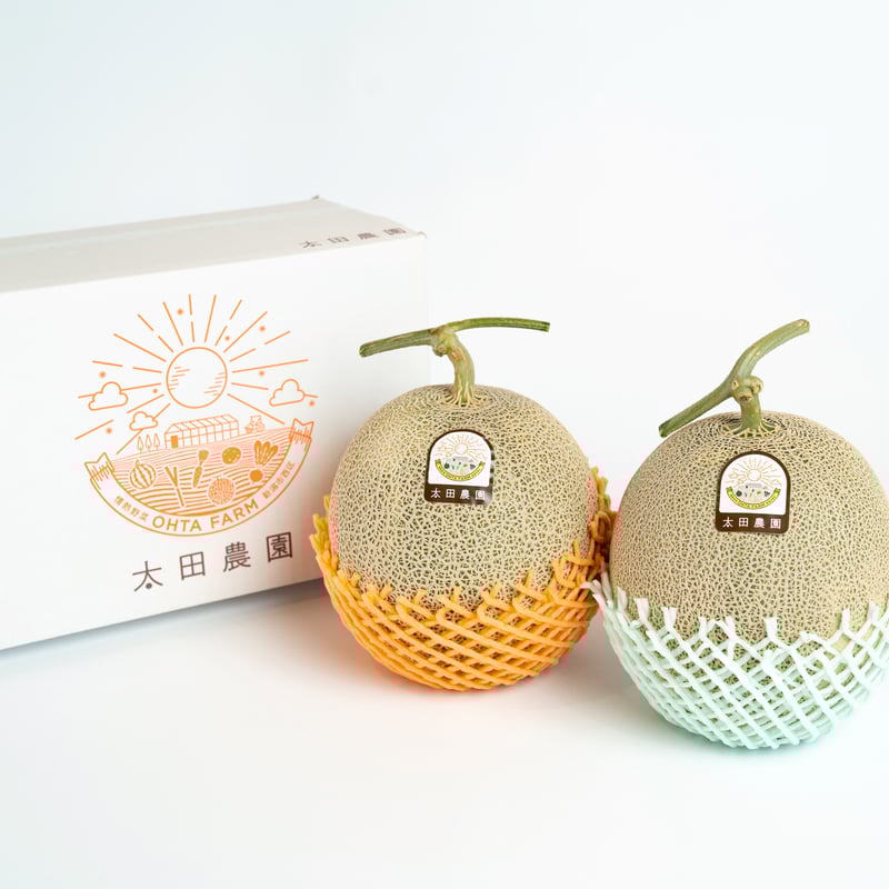 予約受付！！《糖度センサー認証》情熱メロン赤青2玉セット【赤