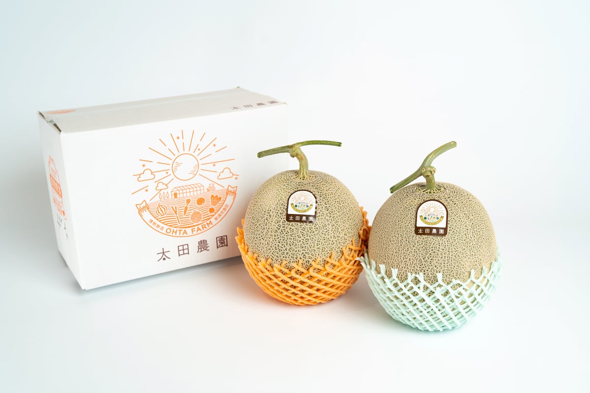 予約受付！！《糖度センサー認証》情熱メロン赤青2玉セット【赤肉1玉