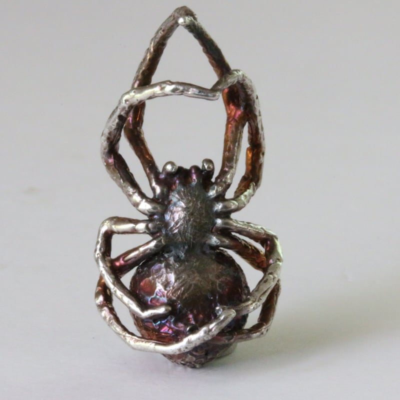 蜘蛛 | アトリエpuchuco