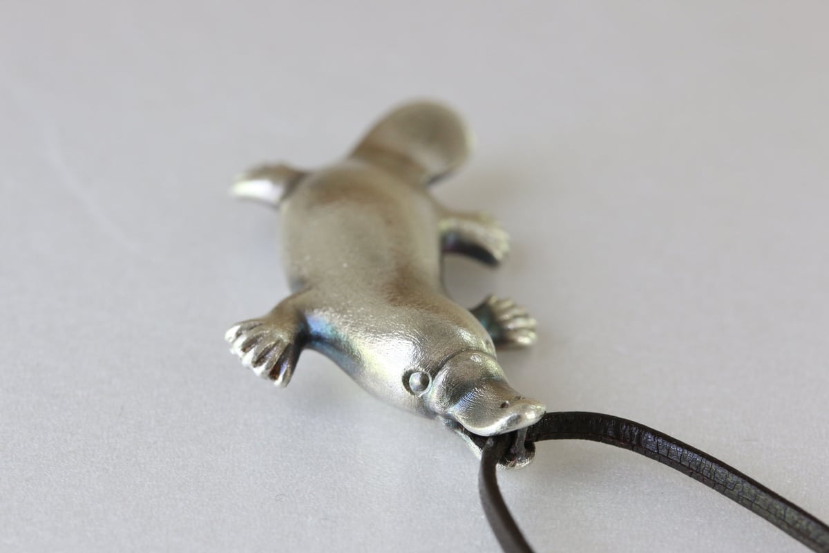 カモノハシ カモノハシ | アトリエpuchuco