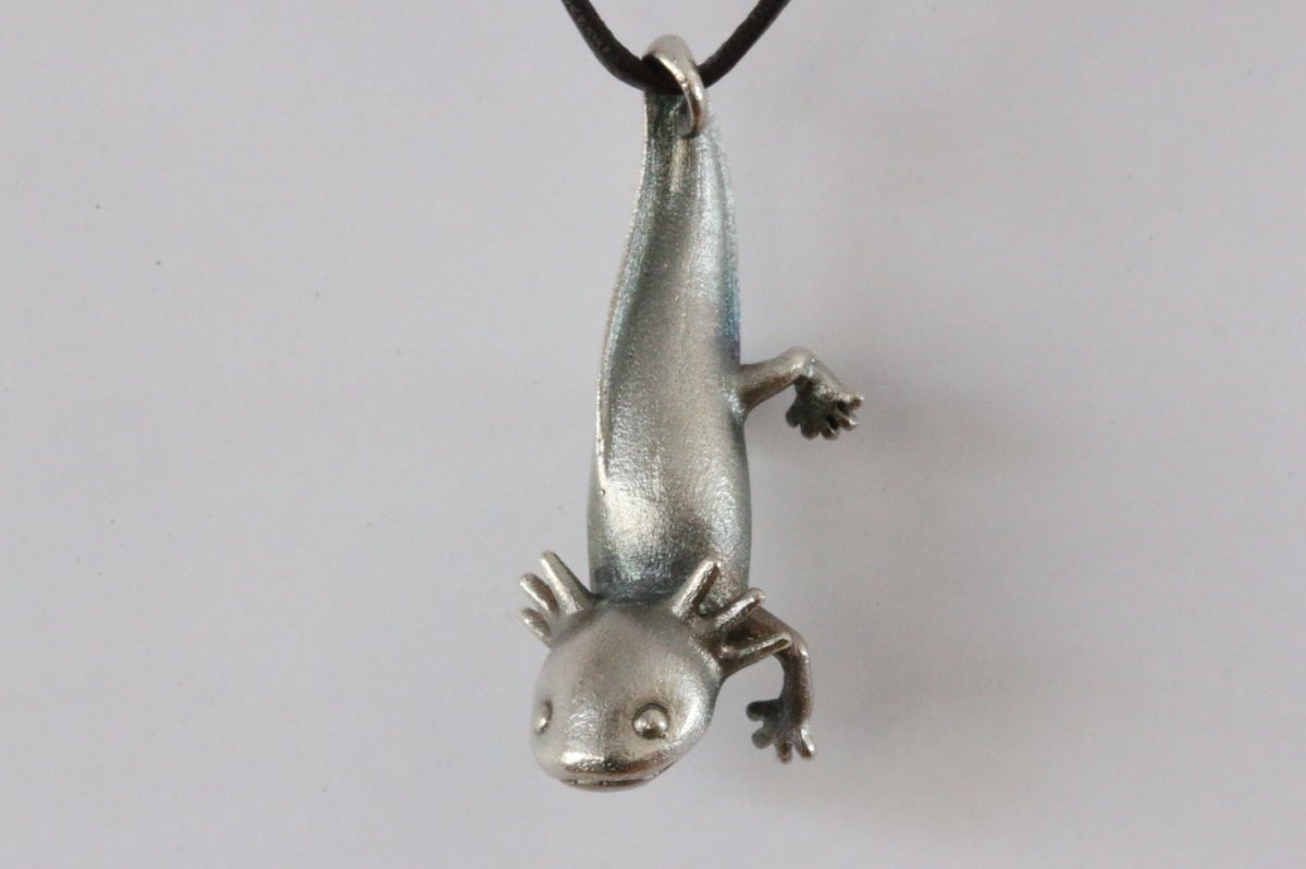 ウーパールーパー | アトリエpuchuco