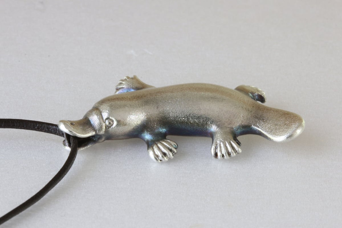 カモノハシページ カモノハシページ ぼくのあいぼうはカモノハシ (児童書)』｜本の