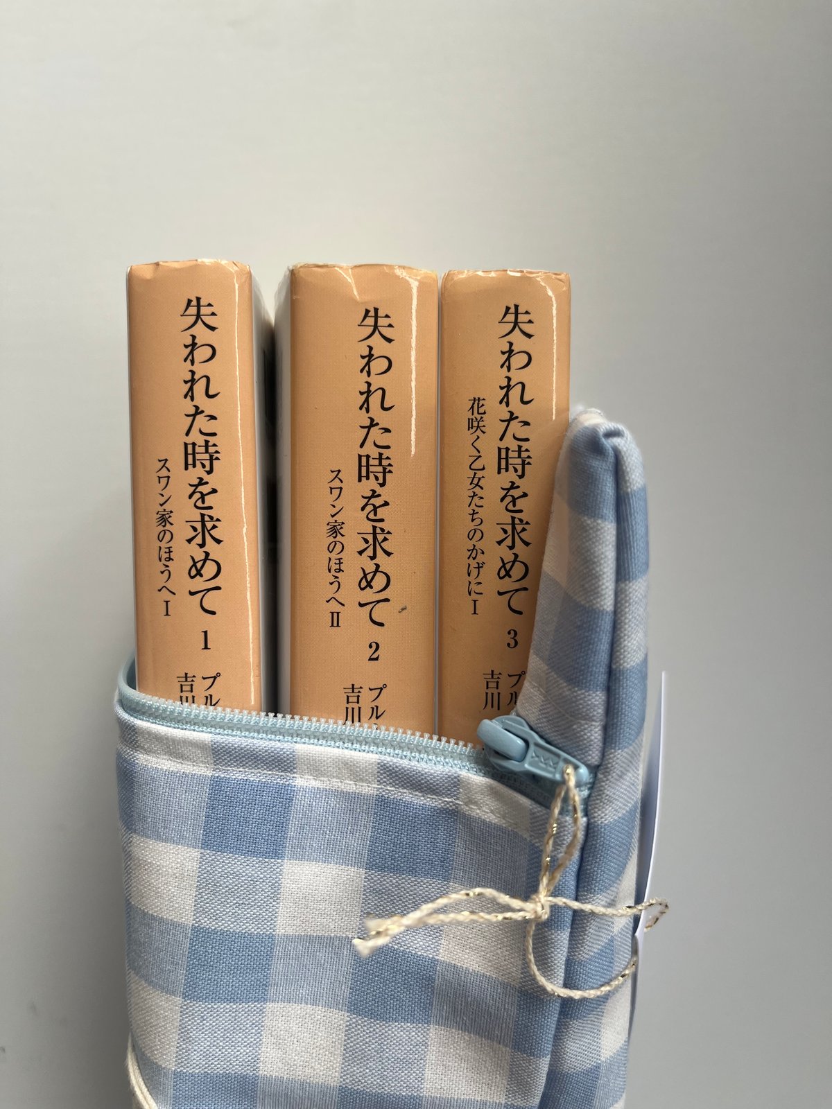 ねこのこ③ブックカバー、ポーチ ブックポーチ ギンガム lightblue | NINE STORIES