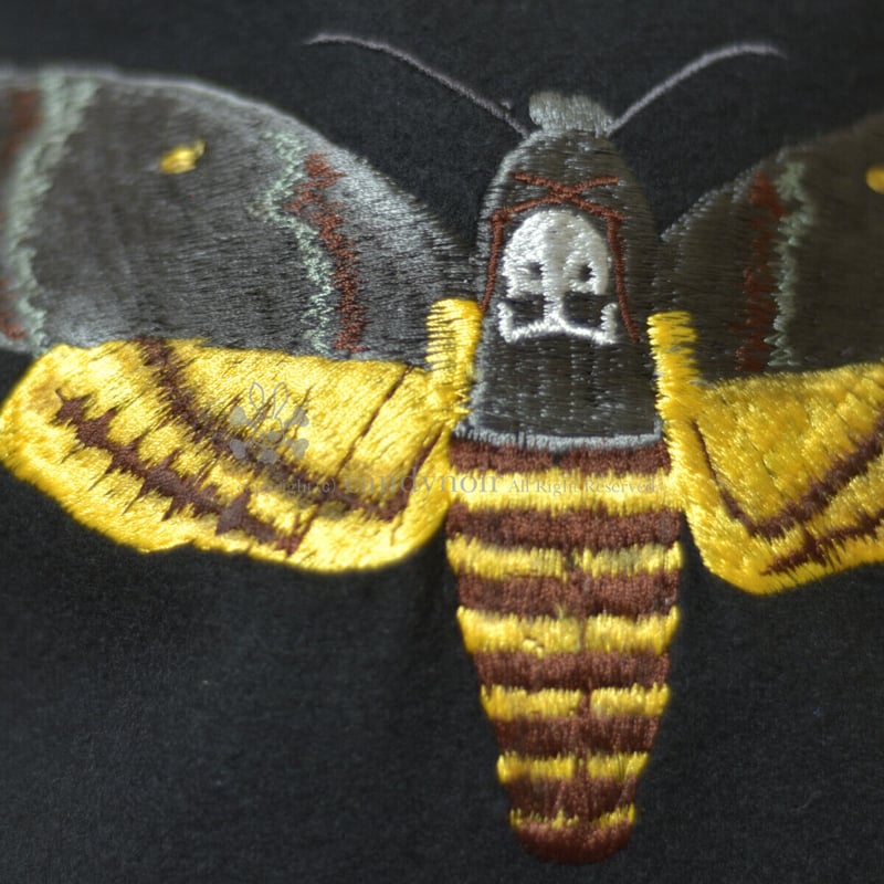 メンガタスズメの標本ベレー | candynoir