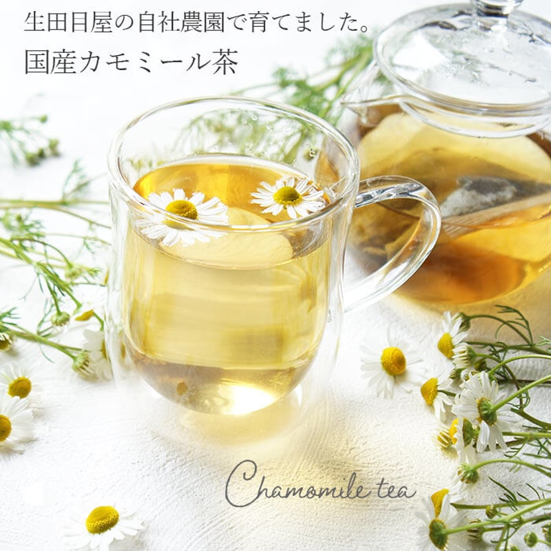 カモミールティー 8包 国産 ティーバック | こんにゃく屋生田目屋