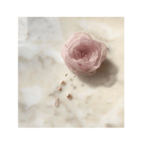Flower × Pearl code ribbon choker 【Rose Quartz Pink】