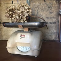 Japan Antique 古錫 間村自造 純錫 錫器 在印 盃洗 建水 こぼし 煎茶